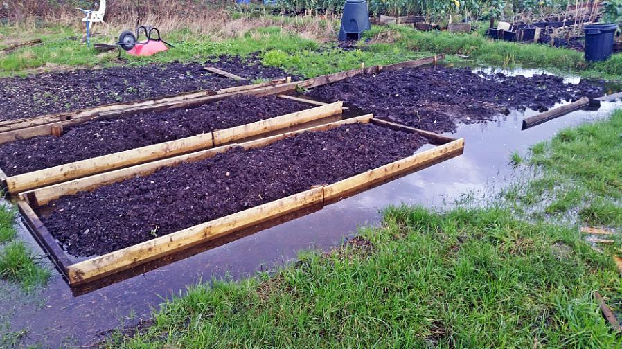 Frigjøre vann eller frigjøre overflødig karbondioksid