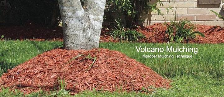 For å bruke som en mulch i hagen