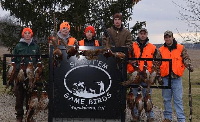 Spillfugler er alle fugler som kan jages lovlig