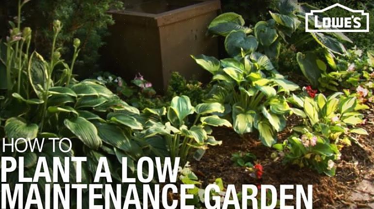 4 til 5 meter Bredde