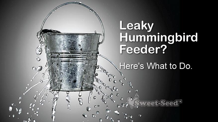 Design med en flaske nektar suspendert over fôringsportene