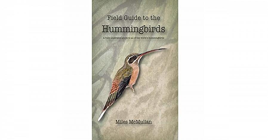 Men mye mer forskning er nødvendig for å forstå disse fuglenes unike evner