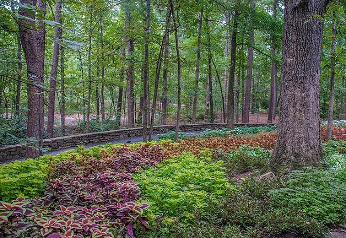 Ligger nord for de problematiske trærne