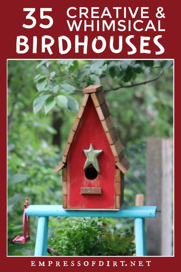 Fjern samtidig nærliggende grener som også kan gi rovdyr tilgang til huset