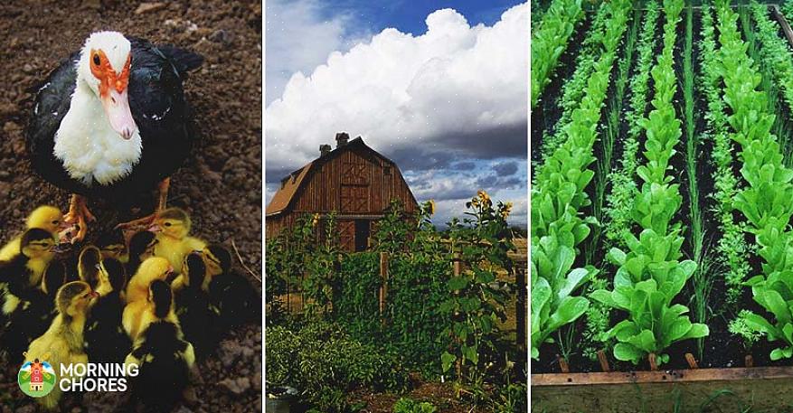 Og ikke gjøre det tyngende eller overveldende