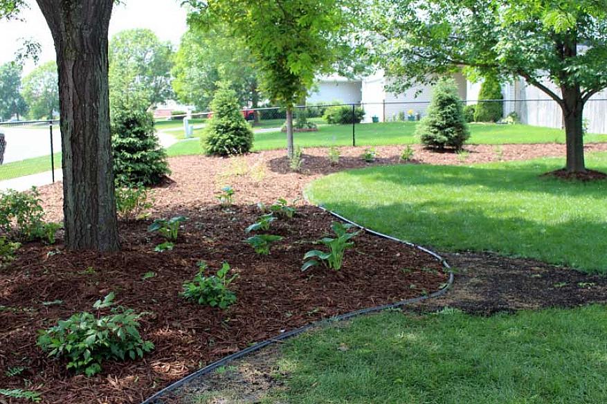 Dette skjer hovedsakelig fordi mulken hjelper til med å forhindre at ugressfrø i jorden får sollyset