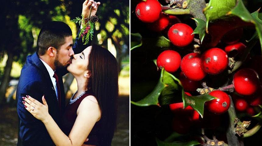 Men kanskje mer enn noen annen eviggrønne jul