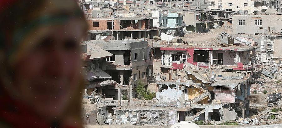 Kalkuner er mye forskjellige fra kyllinger når det gjelder deres bolig