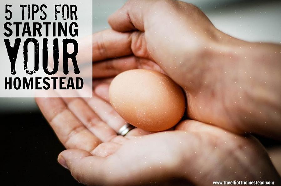 Vurder å bruke en bok som "The Weekend Homesteader" for å takle prosjekter en helg av gangen i stedet