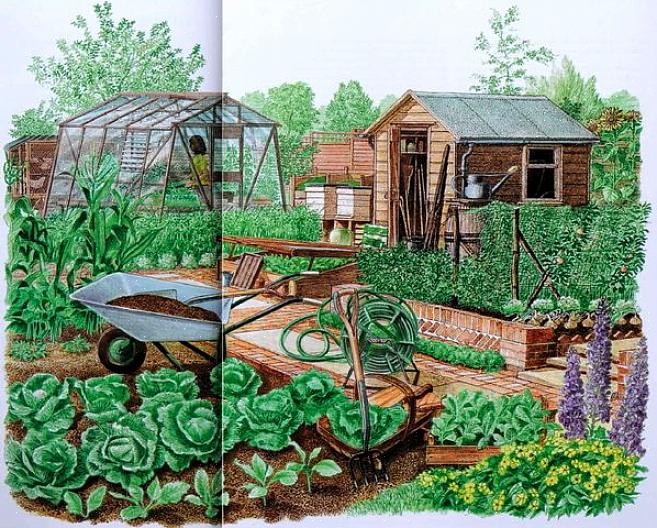 Du må bruke litt tid på å bestemme hvordan du skal sørge for disse behovene på din egen gård