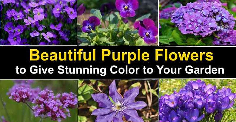 Hvis hagen din brukes som et tilfluktssted for å slappe av