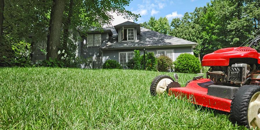 Ingen overraskelse da at en golfbanesjefs søk etter en gresssikker mordrap resulterte i dagens mest kjente
