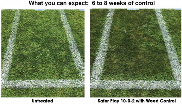Maisgluten fungerer som et herbicid som dukker opp før