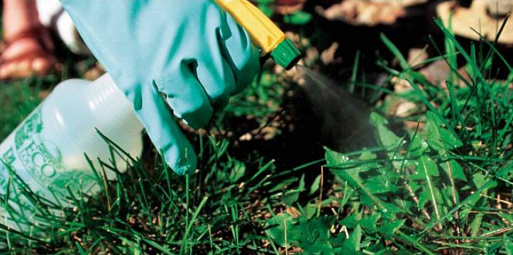 Når kjemiske ugressdrepere brukes riktig