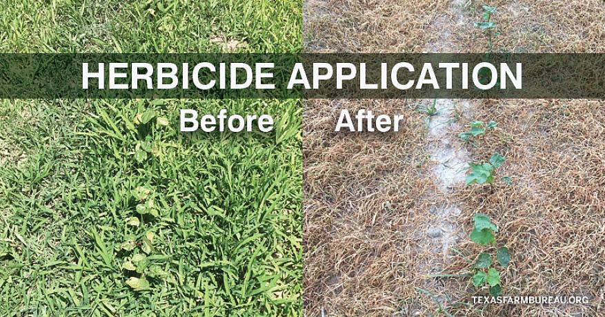 Et herbicid er et produkt som brukes til å drepe uønskede planter