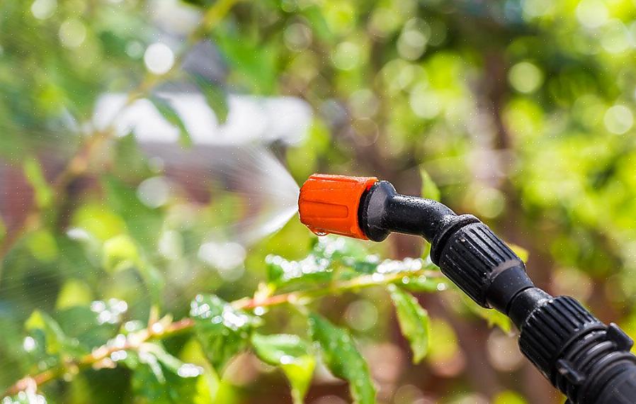 All eddik inneholder eddiksyre