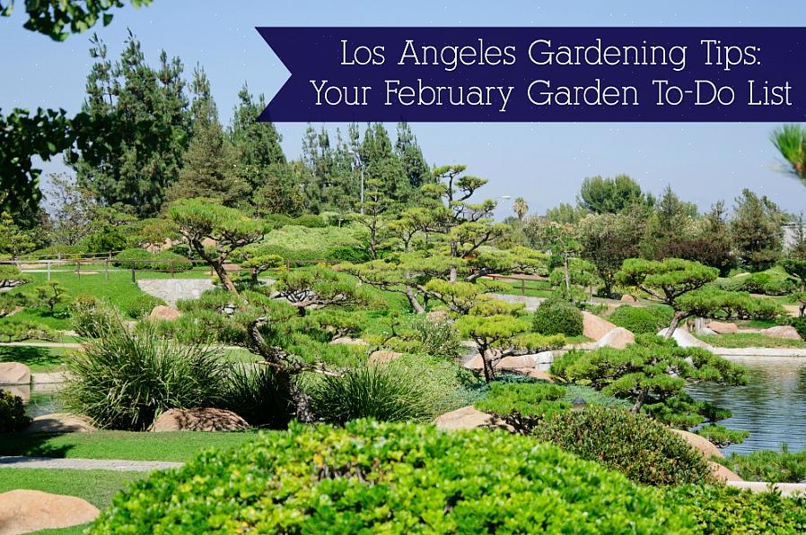 Du begynner å snu hjørnet fra vinter til vår i Nord-California i februar