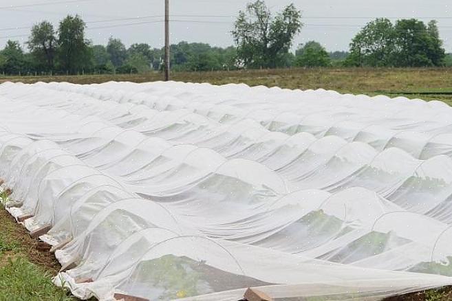 Raddekselpakken skal fortelle deg hva frostbeskyttelsen for det produktet er