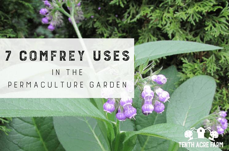 Start med å bruke bare 0,25 så mye som du bruker ferske urter