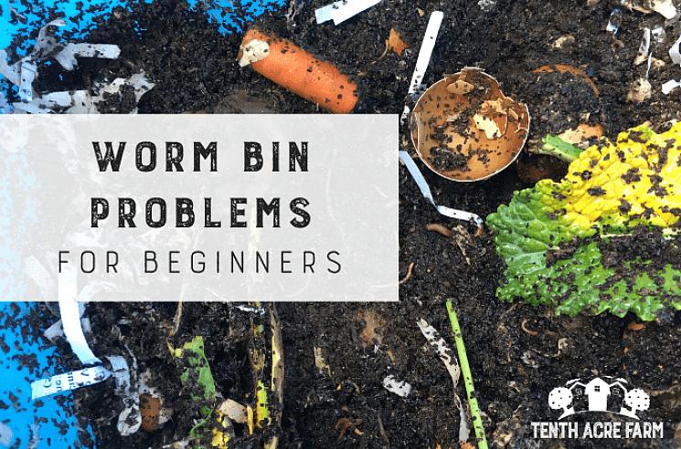 La den sitte noen dager uten å tilsette mat slik at ormene jobber seg ned i sengetøyet