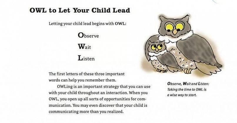 Den beste tiden på dagen å se ugler er ved daggry eller skumring når disse fuglene blir lettere oppdaget