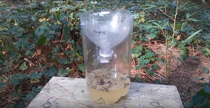 Sett feller tidlig på våren når dronningene leter etter hekkeplasser