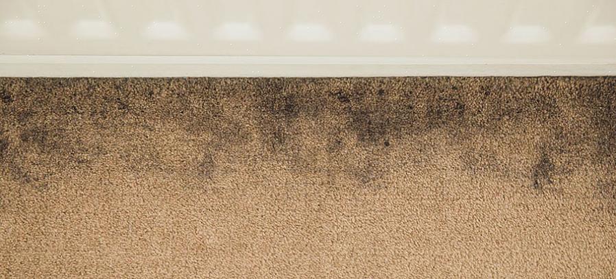 Fjerne så mye som mulig før du går over til våt rengjøringsmetoder