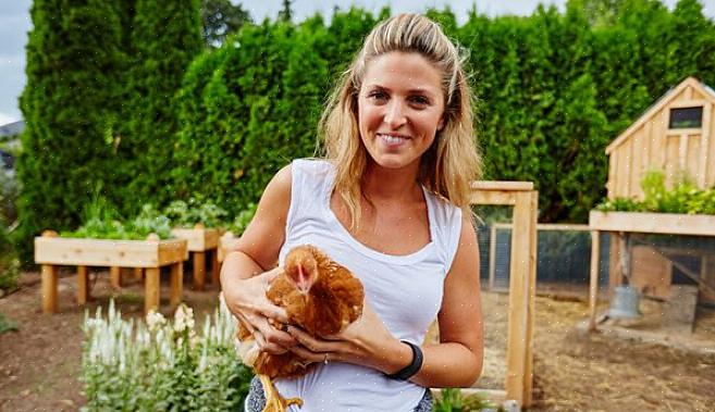 Seksjon 183 i skattekoden for Europa forklarer detaljene i skattefradrag for hobbybruk