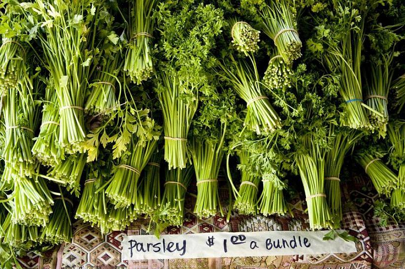 Dyrking og tilrettelegging av urter