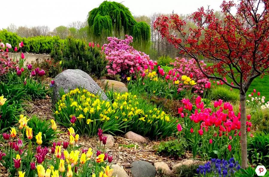 Nøtter og frukt til fugler