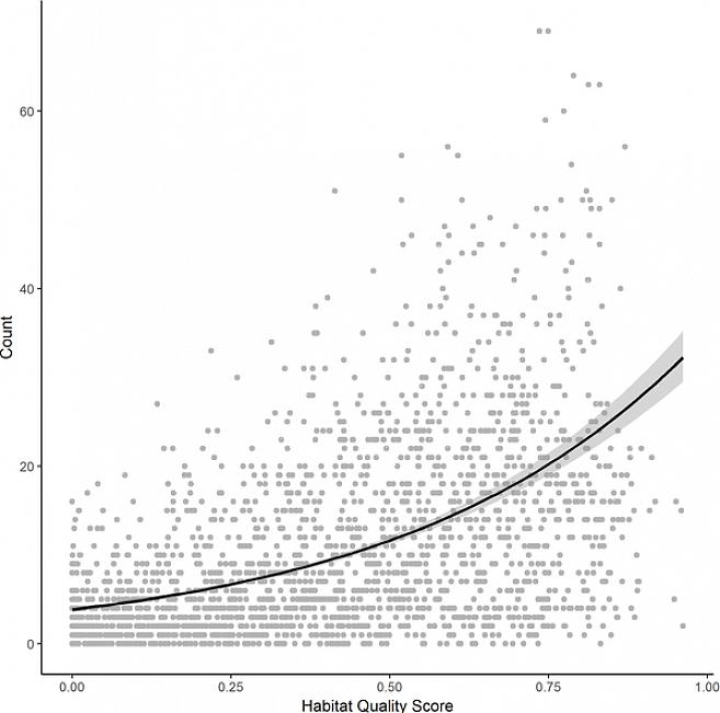 Den enkleste måten å gi et trygt habitat for fugler er å beskytte habitatene fuglene allerede bruker