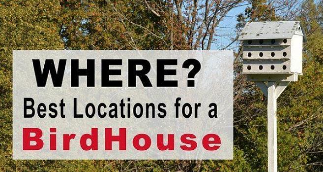 Ved å ta skritt for å beskytte fuglehus fra sultne rovdyr