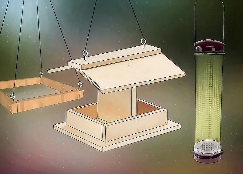 Og fugler i bakgården kan være avhengige av de rette lydene for å tiltrekke flere fugler til sin fjærede