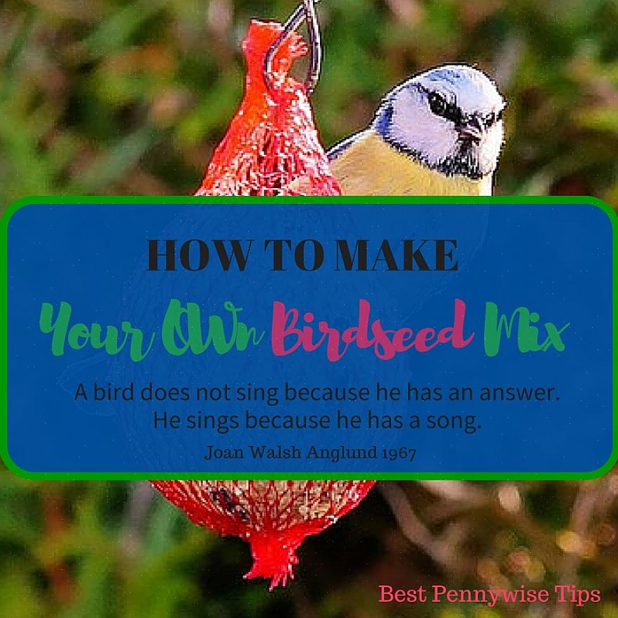 Galvaniserte metallbokser er populære beholdere for fuglefrø