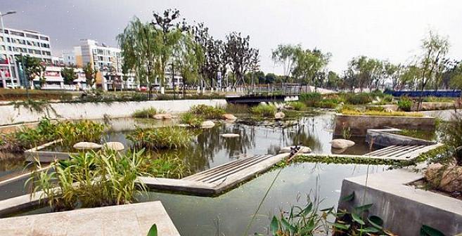 Vil en landskapsarkitekt hjelpe deg med å vurdere tilgjengelig plass