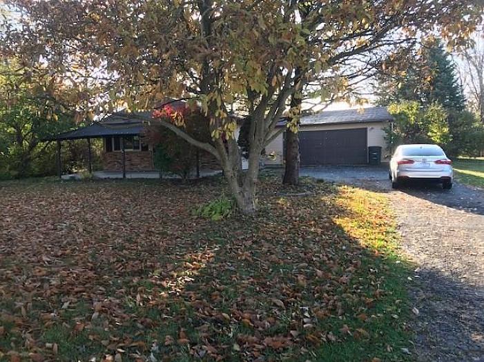 Verdin-identifikasjon