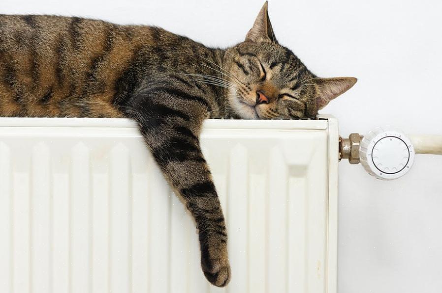 Alle disse enhetene kan enten eliminere eller redusere bruken av stekeovn